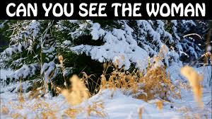 Illusion hidden images in pictures. Nobody Can Find All The Hidden Woman Optical Illusions Brain Teasers Youtube