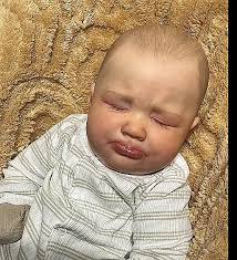 Reborn Artists and Collectors Nurseries