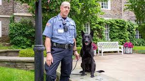 K-9 Joins Bassett Security Team
