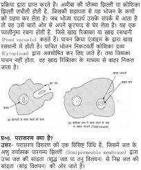 Ncert Solutions For Class 9 Science Chapter 5 The Fundamental Unit Of Life Science Solutions Science Books
