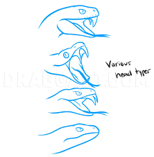 How To Draw A Snake Head Draw Snake Heads Step By Step Drawing Guide By Dawn Dragoart Com Draw the eye on the top part of the snake's head. to draw a snake head draw snake heads