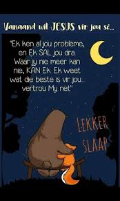 Pin By Esre Pretorius On Motivation In 2020 Words Of Wisdom Words Goeie Nag