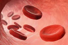 Bodily fluids, including blood, can result in messes in your facility. Blood Cleanup Company Biohazard Bodily Fluid Clean Up Services