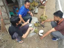 Telaga ini bisa dikunjungi setiap harinya, baik hari biasa maupun akhir pekan. Berburu Buah Durian Di Telaga Ngebel Ponorogo