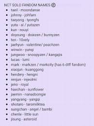 Thank you and happy shopping! Winwin Day Mt1 On Twitter Here 23 Of Nct Solo Fandom Names