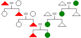 The Nature Of Kinship Descent Principles Part 1