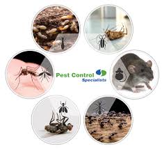 Modern pest services offers commercial disinfection and sanitation treatments using materials approved by the epa. Pest Control Cleaning Services Hygiene Services Disinfecting Services