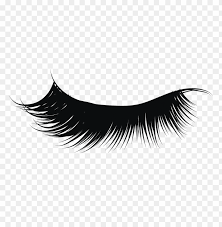 Overlays, great lash illustration png. Download Eyelash Png Png Images Background Toppng