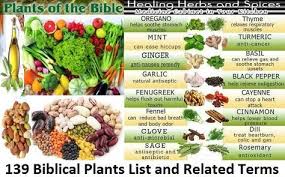 Foods Of The Bible A List Of More Plants Mentioned In The Bible For A Bible Garden Bible Food Bible Garden Biblical Garden