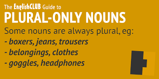 plural only nouns grammar englishclub