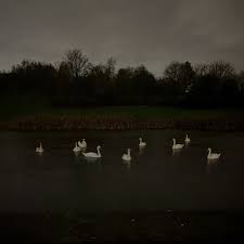 jacobite129's collection