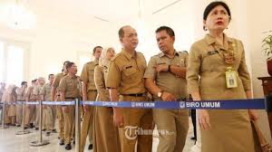 Berdasarkan keputusan menpan rb nomor 437 tahun 2019 tentang penetapan . Kementerian Lingkungan Hidup Dan Kehutanan Buka 1 175 Formasi Cpns Dan Pppk 2021 Berikut Rinciannya Tribunternate Com