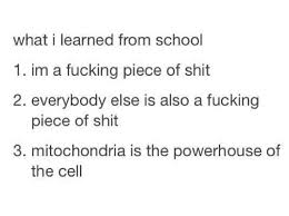 Animal cell that has few mitochondria. Mitochondria Is The Powerhouse Of The Cell Know Your Meme