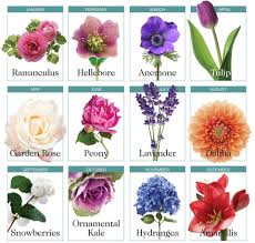 Maybe you would like to learn more about one of these? Best Seasonal Wedding Flowers Avenue Calgary