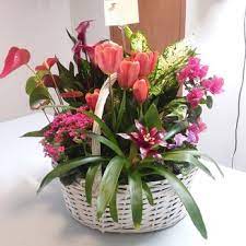 We deliver to the following zip codes in ocala: Blue Creek Florist 57 Photos Florists 16672 Sw 62nd St Ocala Fl Phone Number Yelp