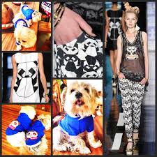 Moda Kopek Kiyafetleri Kopek Modasi Kopek Modasi Kopek Giysileri Kopekler Panda Panda Kiyafetleri Panda Tasarimlari Panda Designs Dod Clothe Clothes Moda Kopek