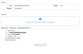 Metadata Backup Via Workbench No Longer Working Salesforce Developer Community