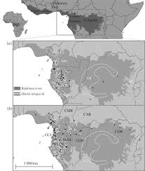 The tropical rainforest is located in four main regions or realms. Pleistocene Population Expansions Of Shade Tolerant Trees Indicate Fragmentation Of The African Rainforest During The Ice Ages Proceedings Of The Royal Society B Biological Sciences