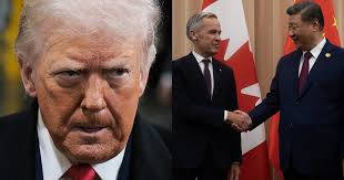 Frank Bergman, Author at Slay News