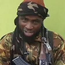 All Politics is Local: Understanding Boko Haram
