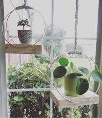 Having shelves full of plants is just not feasible in the studio, but i was not going to let that stop me from pursuing my dream of building a little greenhouse. Diy Hanging Plant Shelves Houseplants