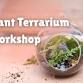 Taller de terrarios de plantas