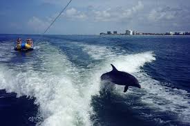 If this was my first escape room i would never try one again. St Pete Beach Banana Boat Ride 2021 St Petersburg