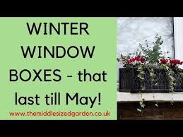 Garden Designer Jane Beedle S Top Winter Window Box Tips Including How To Choose Window Box Plants And How Winter Window Boxes Winter Window Window Box Plants