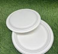 Lilly Round Sugarcane Plates (100 pcs count)