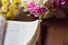Biblia Encima De Mesa Com Flores Imagem Jpg Download Designi