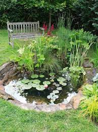 Water Garden Design Ponds For Small Gardens Garden Pond Design Water Features In The Garden