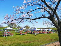 バーベキューレンタルのゴードン