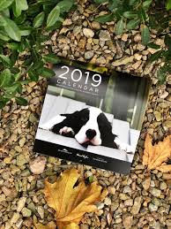The 2019 Dogsofdts Calendar Is Here Downtown Summerlin Facebook