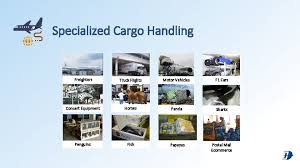 For the catering needs of maskargo flights. Corporate Sales Kit Mab Kargo Aspiration Mab Kargo