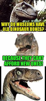 Maybe you would like to learn more about one of these? Dinosaur Museum Meme Novocom Top