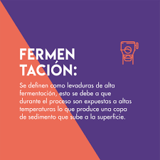 Pin En Expertos Cerveceros