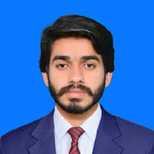 Expert microsoft word document formatting and design by Shoaibiqbal_722