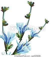 Check spelling or type a new query. Beautiful Watercolor Blue Yellow Flowers Wedding Isolated Background Vector Vintage Elegant Card Illustration For Women S Canstock