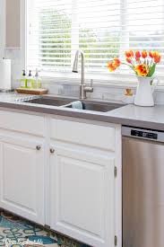 under kitchen sink organization ideas