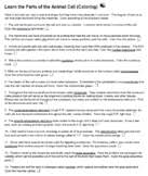 We did not find results for: Animal Cell Coloring Worksheets Teaching Resources Tpt