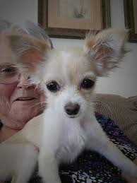 Where can I find a bigger house in Gulfport, MS, that accepts Section 8?