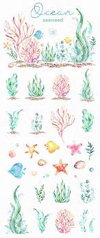 Ocean Seaweed Underwater Watercolor Clip Art Water Plants Seaware Fishes Starfish Sea Nautical Undersea Aquarium Babyshower Alga Watercolor Plants Watercolor Clipart Art Inspiration