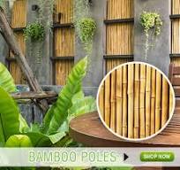 Bamboo and Thatch Products - Fencing, Roofing, Tropical Dècor