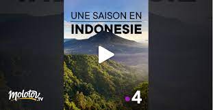 Après l'afrique, l'océanie et l'amérique, les équipes d'une saison au zoo prennent la direction de l'indonésie et plus précisément de sumatra, une île qui abrite les plus grands représentants de la faune sauvage. Une Saison En Indonesie En Streaming Molotov Tv