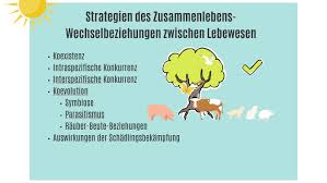 We did not find results for: Strategien Des Zusammenlebens By Anton Schmitt