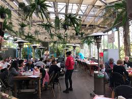 Frankie S Food Factory Flower Power Glenhaven Parraparents