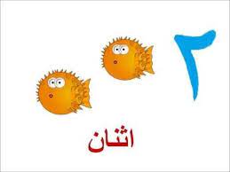 الأرقام العربية arabic numbers song for children kids songs numbers preschool preschool songs