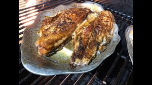 We did not find results for: How To Cook Redfish Youtube