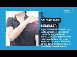 Omuz Agrilari Neden Olur Youtube