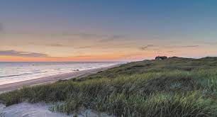 Showing 77 results related to corona. Sylt Alles Rund Um Ihren Sylt Urlaub Tourismus Portal Der Gemeinde Sylt